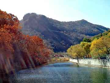 新澳天天开奖资料大全旅游团，葵花宝典小说